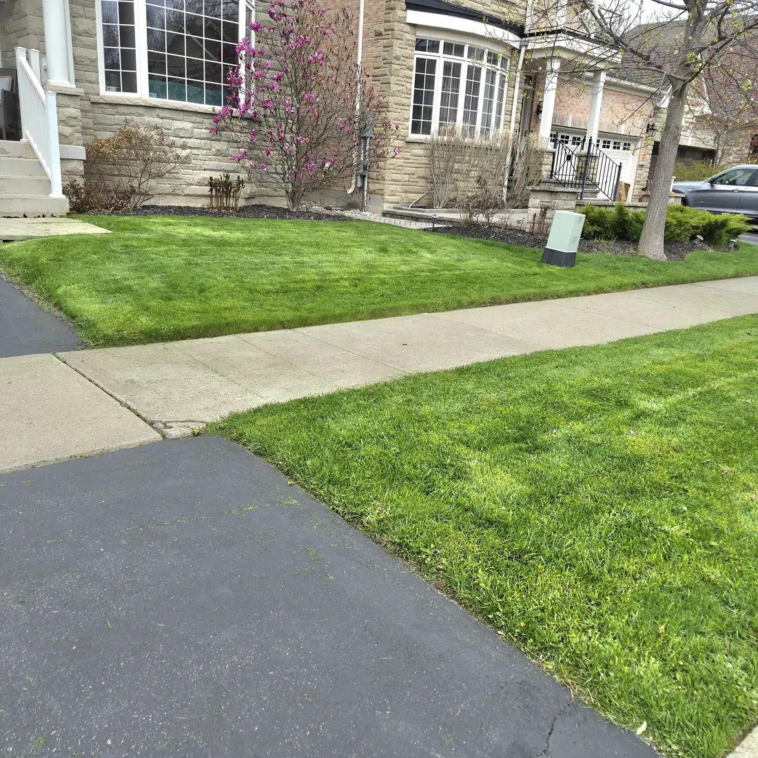 The same lawn after an even cut with tidy edges and no weeds.