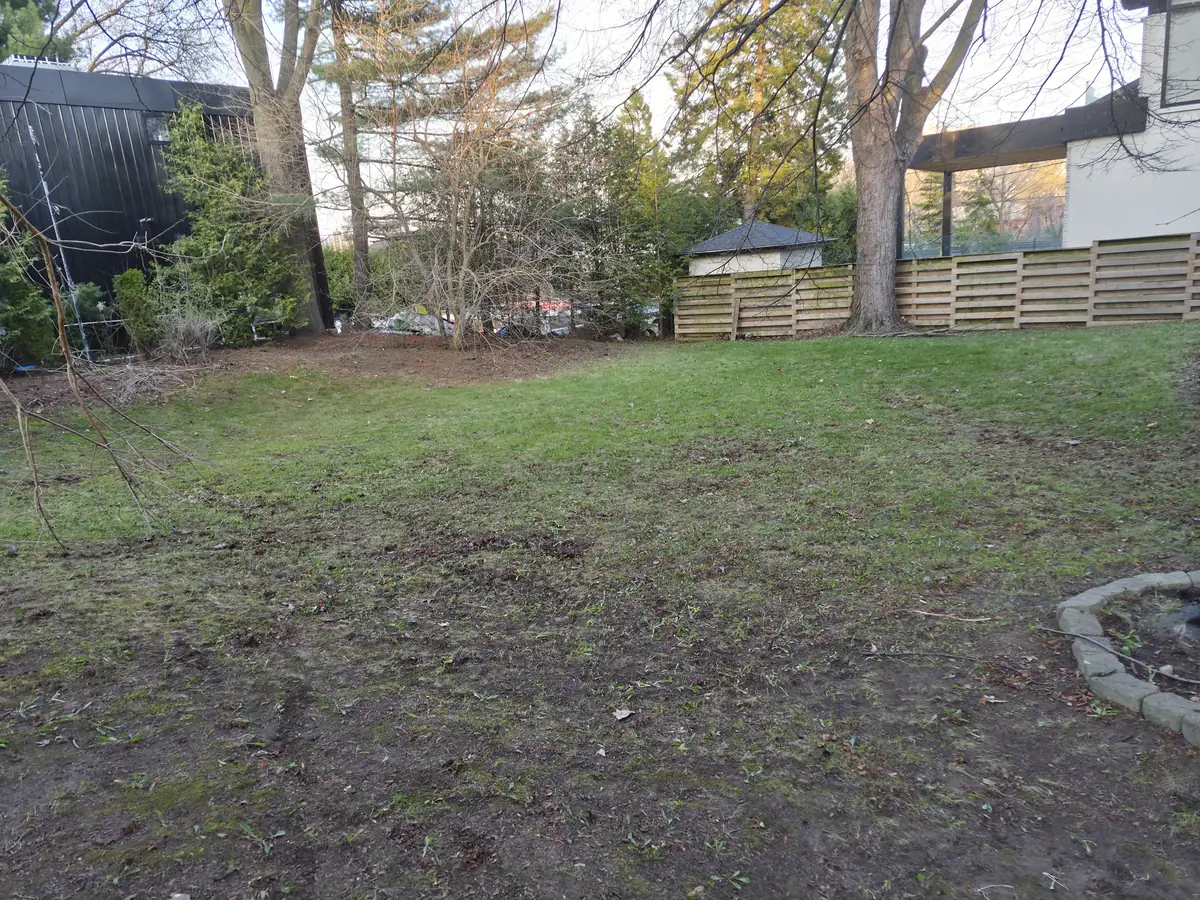 The same lawn after a full leaf clearing, grass exposed and raked clean.