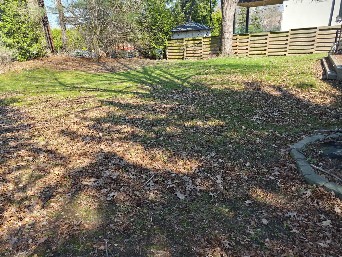 A large lawn buried under a thick layer of fallen leaves.
