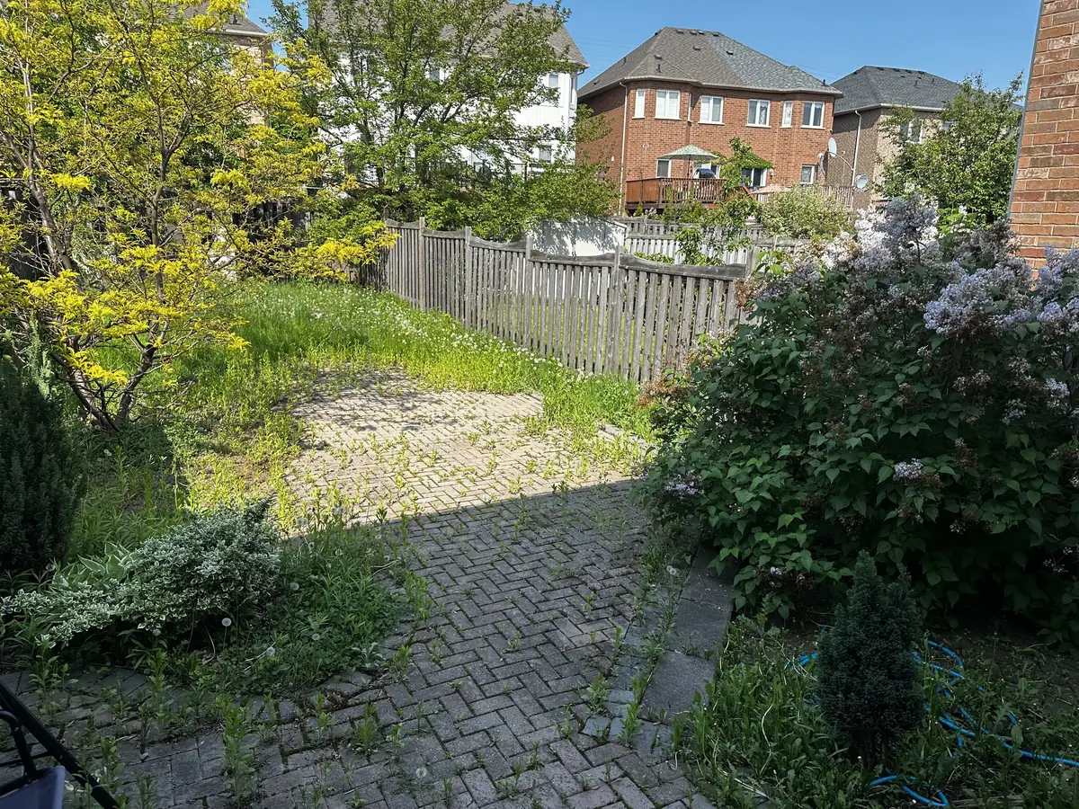 A herringbone paver patio overtaken by weeds growing through every joint.